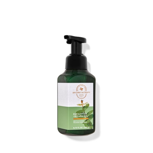 Eucalyptus Spearmint Gentle & Clean Foaming Hand Soap